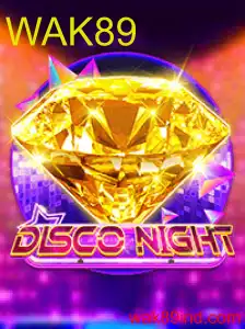 DiscoNight